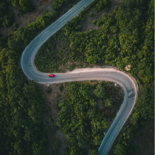 a car driving on a road surrounded by trees